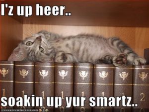 I'z up heer...soakin up yur smartz...