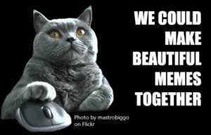 We could make beautiful memes together