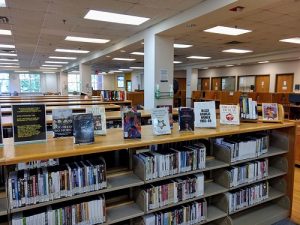 Library BLM Book Display